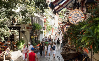  Découvrir le Petit Champlain : Une journée parfaite dans le quartier le plus charmant de Québec