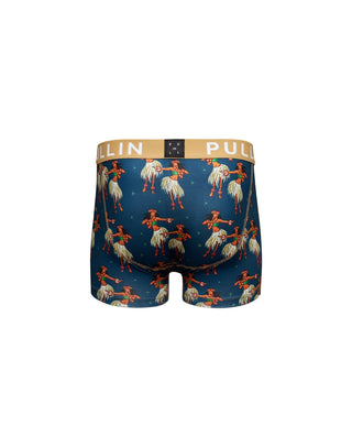 PULLIN - Boxer Master HOULA