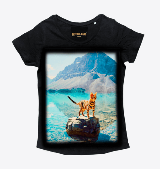 BASTILLE - SAVAGE / CAT LAKE - LE CAPITAINE D'A BORD