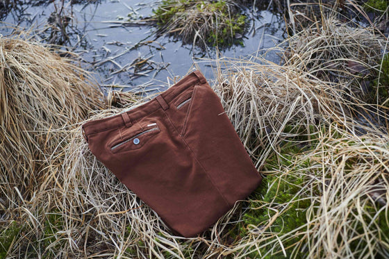 Meyer - Pantalon de coton Chicago 5568 - LE CAPITAINE D'A BORD